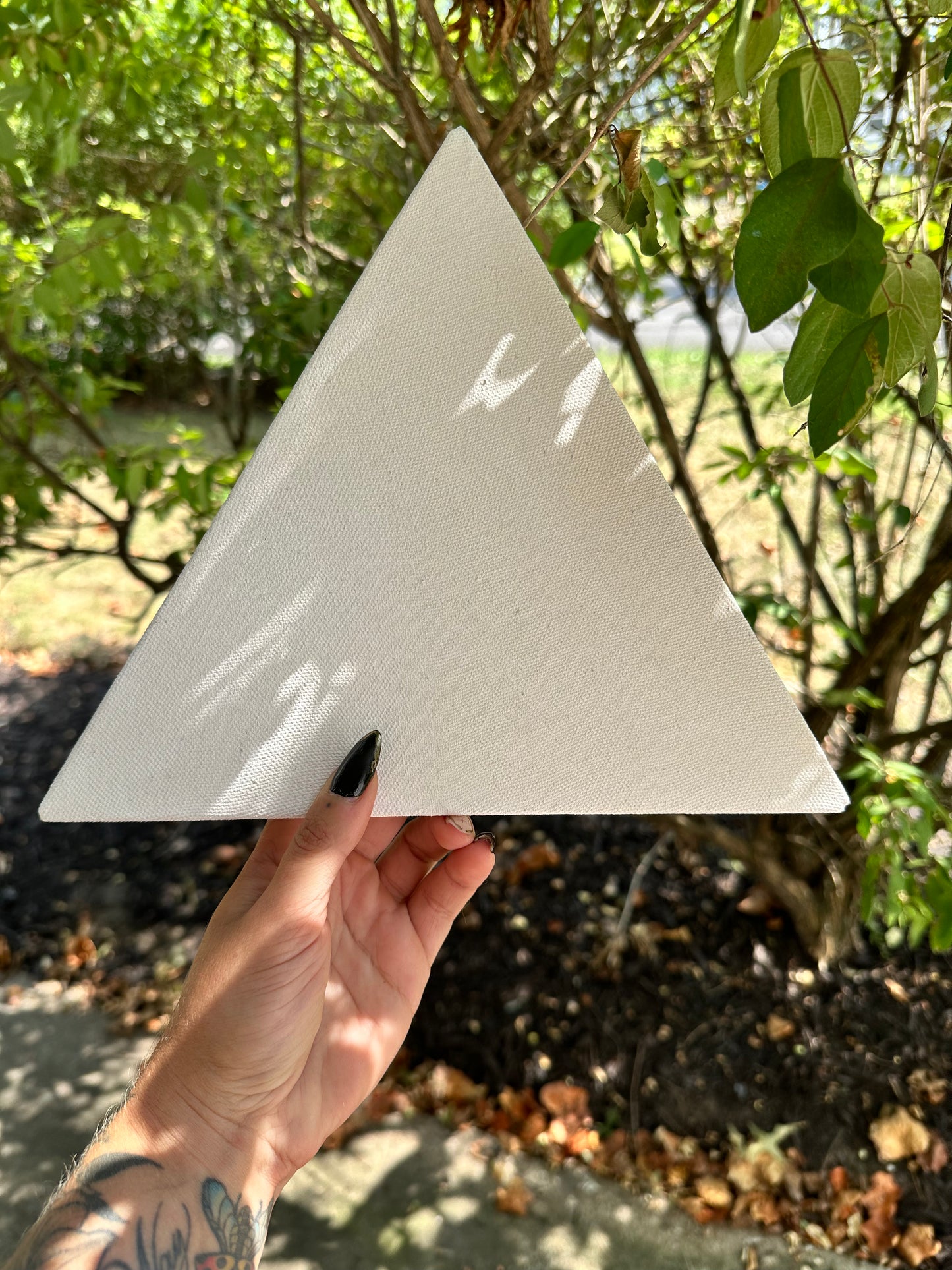 Blank Triangle Canvas