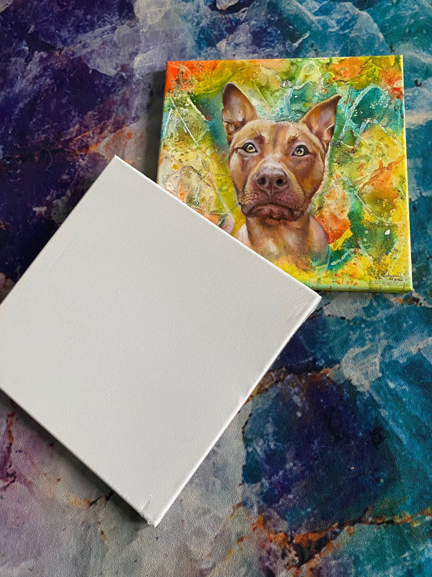 Pet portrait commission