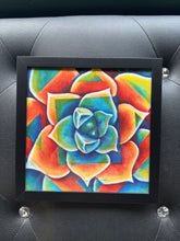 Load image into Gallery viewer, Calypso clearance