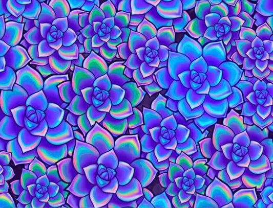 Purple  Echeverium Rain Poncho (presale)
