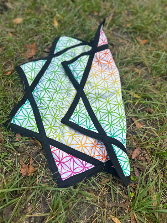 Flower of Life Flow Star