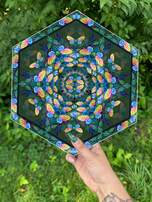 Crysaeda Kalidescope