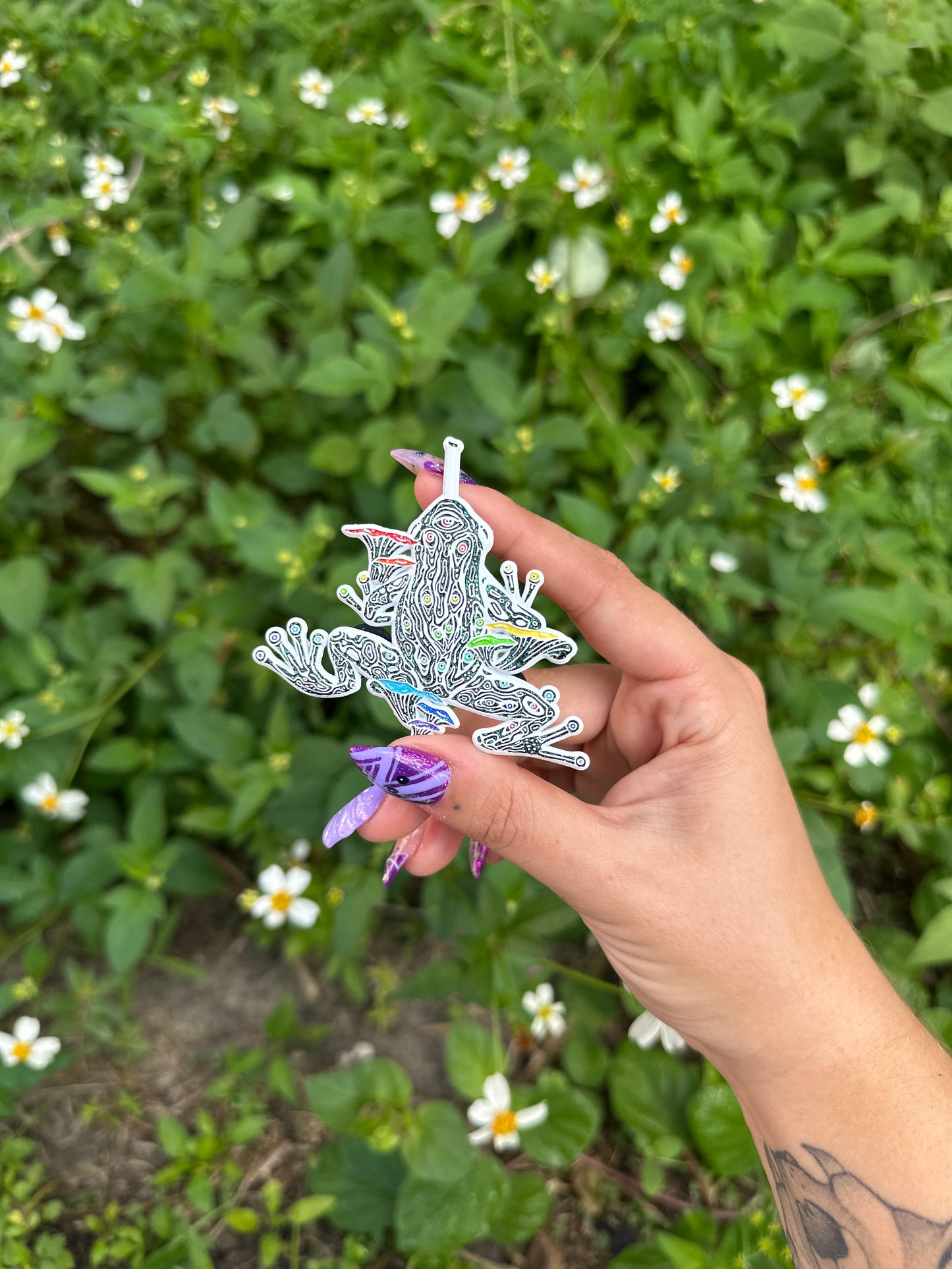 Psychedelic dart frog